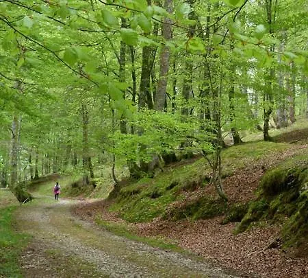 Coqueta Casa, En Un Iconico Pueblo De Asturias * ESPINAREDO